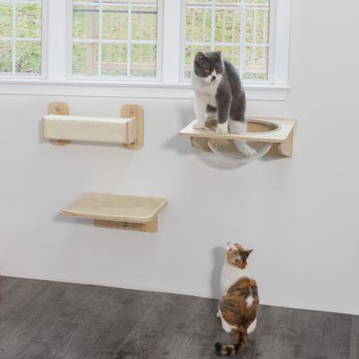 Show full view: Coziwow 3 Piece Window Perch Suction Cup Hammock Cat Perch slide 7 of 12