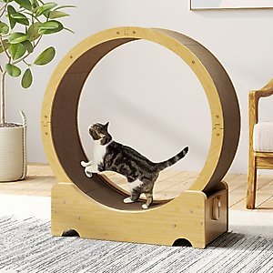 Pet Fit For Life Multi Pack Cat Toy
