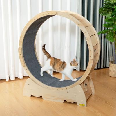 Show full view: Coziwow 41.1-in Exercise Running Wheel Cat Treadmill, Large slide 9 of 10