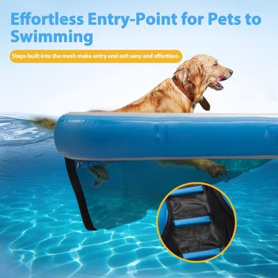 Show full view: Coziwow 60-in Inflatable Floating Dog Water Ramp, Blue slide 6 of 10