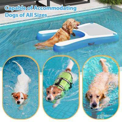 Show full view: Coziwow 60-in Inflatable Floating Dog Water Ramp, Blue slide 8 of 10