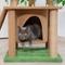 Show in main carousel: Coziwow 76.8-in Large Leaves Plant Activity Tower Cat Tree & Condo, Brown/Green slide 8 of 10