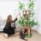 Show in main carousel: Coziwow 76.8-in Large Leaves Plant Activity Tower Cat Tree & Condo, Brown/Green slide 2 of 10
