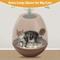 Show in main carousel: Coziwow 8-in-1 Eggloa6 Hidden Cat Litter Box Enclosure Planter, Brown slide 3 of 10