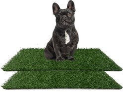 Coziwow Artificial Grass Dog Pee Pads, Large: 28 x 18-in, 2 count