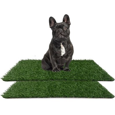Coziwow Coziwow Artificial Grass Dog Pee Pads, Large: 28 x 18-in, 2 count