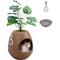 Show in main carousel: Coziwow Artificial Plant Hidden Cat Litter Box Enclosure, Brown slide 1 of 9