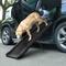 Show in main carousel: Coziwow by Jaxpety Foldable Dog Car Ramp, Black, 62-in slide 1 of 10