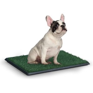 Coziwow by Jaxpety Indoor Dog Grass Potty Pee Turf, 25 x 20-in