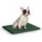 Show in main carousel: Coziwow by Jaxpety Indoor Dog Grass Potty Pee Turf, 25 x 20-in slide 1 of 11