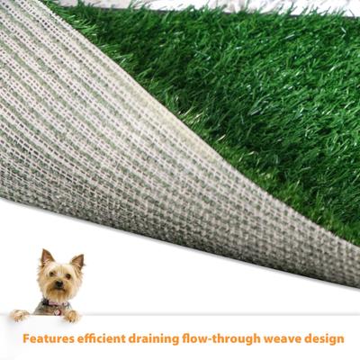Show full view: Coziwow by Jaxpety Indoor Dog Grass Potty Pee Turf, 25 x 20-in slide 4 of 11