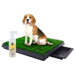 Coziwow by Jaxpety Indoor Grass Potty Dog Pee Turf with Drawer, 20 x 25-in + PetSafe Pet Loo Wee Care Enzyme Cleaner, 16-oz