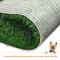 Show in main carousel: Coziwow by Jaxpety Indoor Grass Potty Dog Pee Turf with Drawer, 20 x 25-in slide 5 of 12