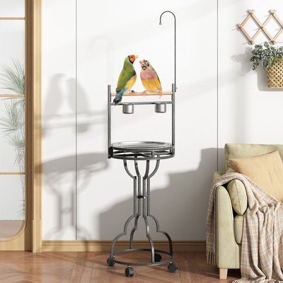 Coziwow Coziwow by Jaxpety Outdoor/Indoor Bird Stand Feeder Perch