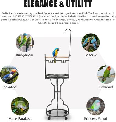 Show full view: Coziwow by Jaxpety Outdoor/Indoor Bird Stand Feeder Perch slide 5 of 10