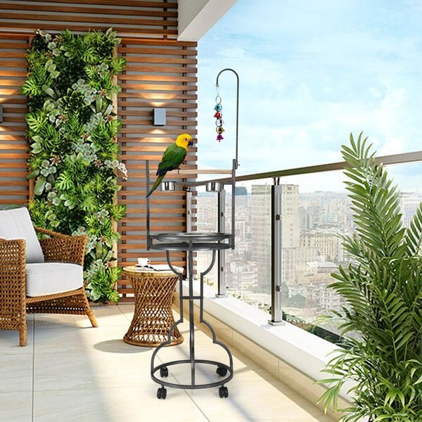 Coziwow by Jaxpety Outdoor/Indoor Bird Stand Feeder Perch