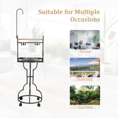 Show full view: Coziwow by Jaxpety Outdoor/Indoor Bird Stand Feeder Perch slide 6 of 10