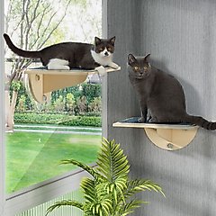 Coziwow Cat Window Perch with Suction Cups, Natural Wood