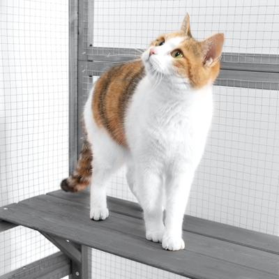 Coziwow Catio Wooden Outdoor Cat Playpen, Large