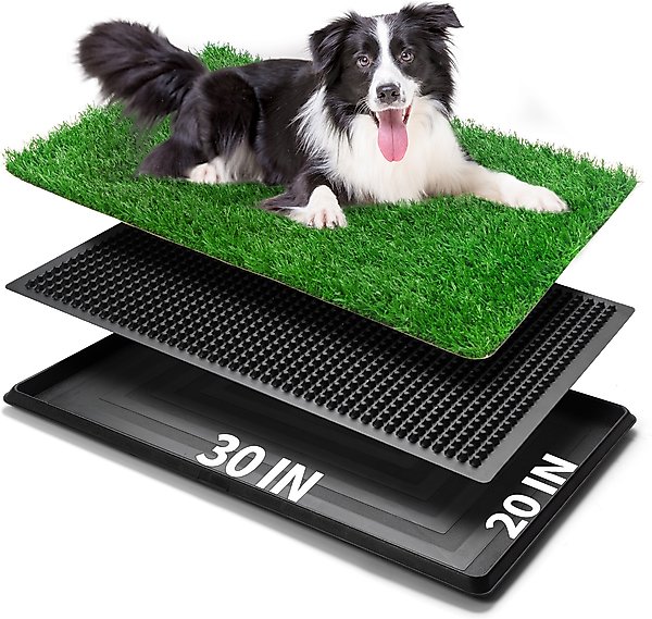 Show full view: Coziwow Dog Grass Pad Pee Turf Potty Training, 30 x 20-in slide 1 of 9