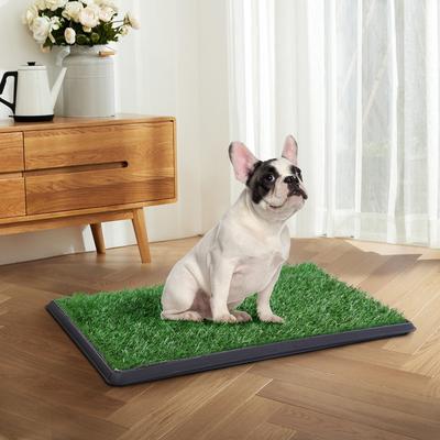 Show full view: Coziwow Dog Grass Pad Pee Turf Potty Training, 30 x 20-in slide 9 of 10