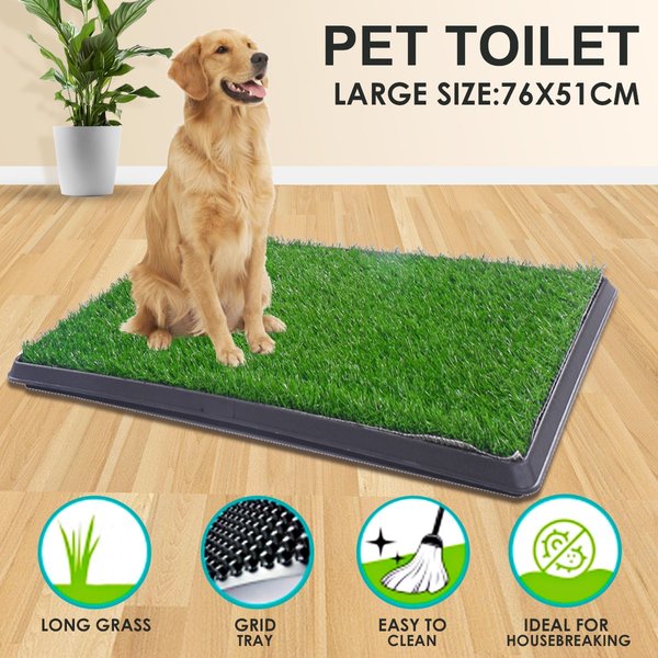 Show full view: Coziwow Dog Grass Pad Pee Turf Potty Training, 30 x 20-in slide 4 of 9