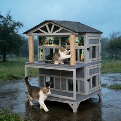 Coziwow Double-Layer Feral Outdoor Cat House with 4 Compartments, Weatherproof Asphalt Roof, Scratching Posts & Platforms, Gray, Medium: 50-in slide 1 of 6