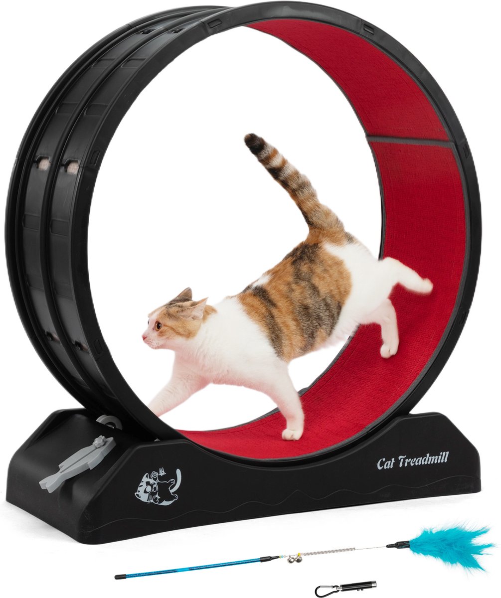 SYKJ Cat Treadmill 直径110cm Amazon.com: COZIWOW Cat Wheel for Indoor Cats Exercise