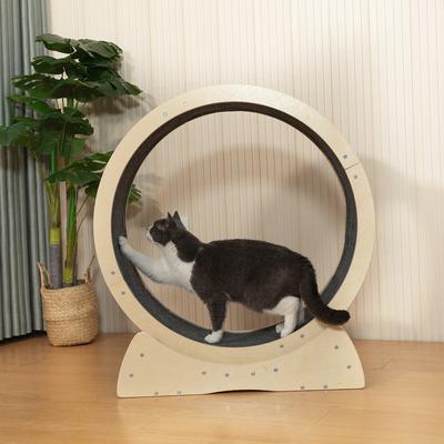 Show full view: Coziwow Exercise Wheel with Lock & Teaser Cat Treadmill slide 5 of 11