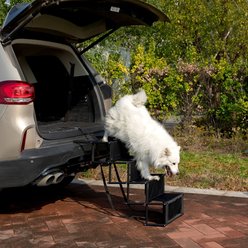 Coziwow Folding Portable Car Dog Stairs, Black