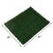 Show in main carousel: Coziwow Indoor Grass Potty Replacement Mats, 20 x 25-in, 2 count slide 3 of 8
