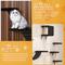Show in main carousel: Coziwow Wall Mounted Shelves Set Cat Tree, Black, 5-Pack slide 8 of 11