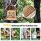 Show in main carousel: Coziwow Wooden Solar Powered AI 1080P HD Smart Bird Feeder with Camera, 2.5-L slide 7 of 10