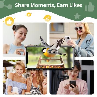 Show full view: Coziwow Wooden Solar Powered AI 1080P HD Smart Bird Feeder with Camera, 2.5-L slide 8 of 10