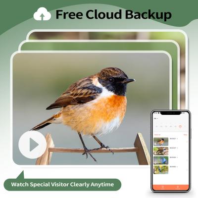 Show full view: Coziwow Wooden Solar Powered AI 1080P HD Smart Bird Feeder with Camera, 2.5-L slide 2 of 10