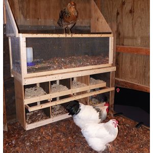 Cozy Products Flat Panel Chicken Coop Heater