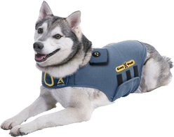 CozyVest 3-in-1 Anxiety Music & Essential Oil Aromatherapy Dog Calming Vest, Gray, Large slide 2 of 5