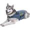 Show in main carousel: CozyVest 3-in-1 Anxiety Music & Essential Oil Aromatherapy Dog Calming Vest, Gray, Large slide 3 of 8