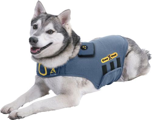 Show full view: CozyVest 3-in-1 Anxiety Music & Essential Oil Aromatherapy Dog Calming Vest, Gray, Large slide 3 of 8