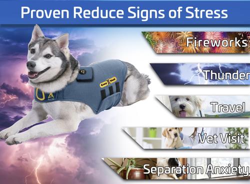 Show full view: CozyVest 3-in-1 Anxiety Music & Essential Oil Aromatherapy Dog Calming Vest, Gray, X-Large slide 5 of 8