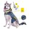 Show in main carousel: CozyVest 3-in-1 Anxiety Music & Essential Oil Aromatherapy Dog Calming Vest, Gray, X-Small slide 1 of 8
