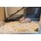 Show in main carousel: Cranky Frank Hemp Small Animal Hemp Bedding, 3-lb slide 8 of 8