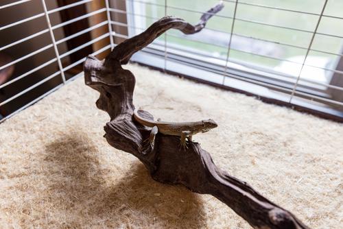 Show full view: Cranky Frank Hemp Small Pet Hemp Cage Liner, 10-in x 20-in, 3 count slide 3 of 4