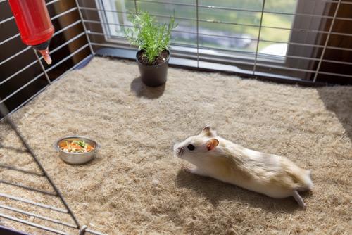 Show full view: Cranky Frank Hemp Small Pet Hemp Cage Liner, 10-in x 20-in, 3 count slide 2 of 4