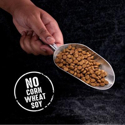 Show full view: Crave High Protein Beef Adult Grain-Free Dry Dog Food, 12-lb bag slide 4 of 11