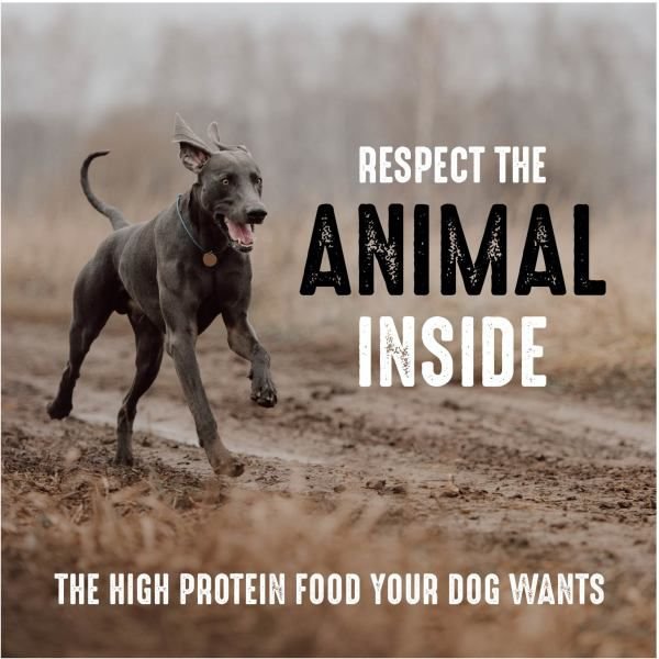 Crave High Protein Beef Adult Grain-Free Dry Dog Food