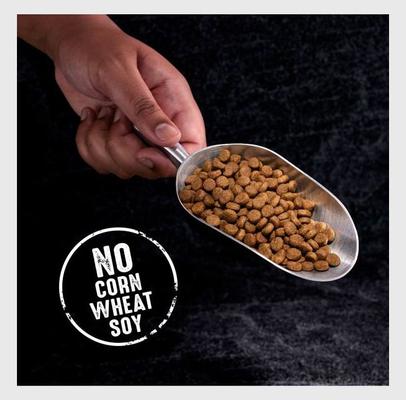 Show full view: Crave High Protein Beef Adult Grain-Free Dry Dog Food, 22-lb bag slide 4 of 11