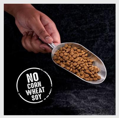 Show full view: Crave High Protein Beef Adult Grain-Free Dry Dog Food, 30-lb bag slide 4 of 11