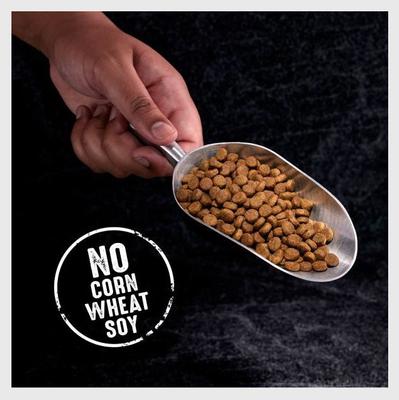 Show full view: Crave High Protein Beef Adult Grain-Free Dry Dog Food, 4-lb bag slide 4 of 11