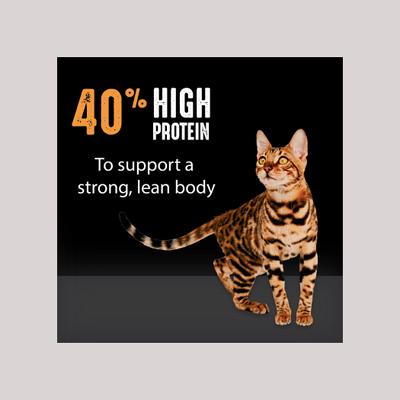 Show full view: Crave with Protein from Chicken Adult Grain-Free Dry Cat Food, 10-lb bag slide 6 of 13
